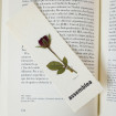Punt de llibre amb rosa seca