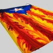 Estelada blava mitjana de flames