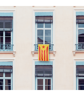 Estelada vermella mitjana 70x100 cm