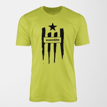 Samarreta estelada de l'Assemblea llima