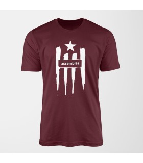 Samarreta estelada de l'Assemblea granat