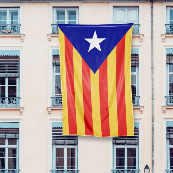 Estelada gegant blava 450x280 cm